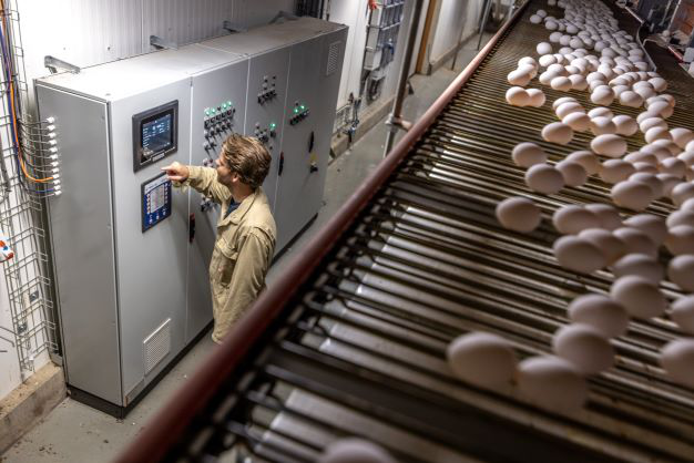 Fortica20 Egg20 Flow20 Control 62fa424406595c