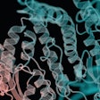 Novel proteins continue to expand in availability as science-backed solutions become more prominent and pet owners become more educated on their existence and what they can provide.