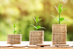 Plant Growing From Money