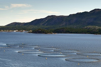 Fish Farm