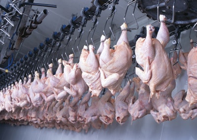 Chicken Processing Line China