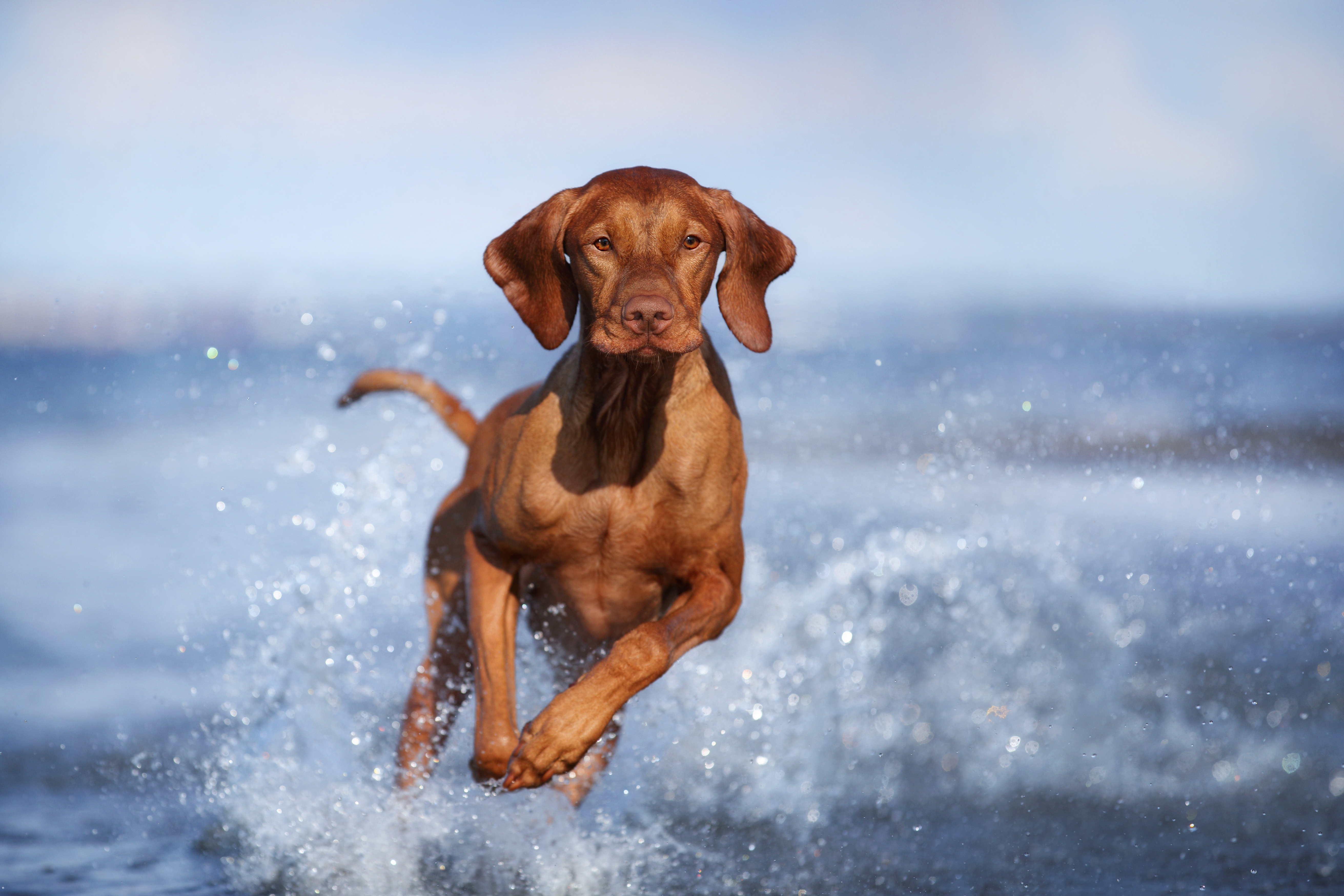 Adobe Stock 469774501 655780e6d8f0d0