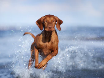 Adobe Stock 469774501 655780e6d8f0d0