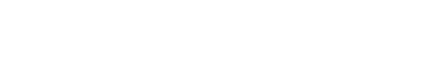 Top Companies Logo