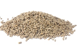 Chicken Feed Pile