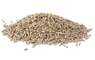 Chicken Feed Pile