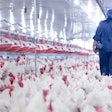 Broiler House Inspection