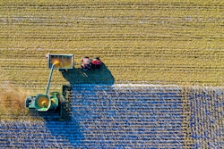 Corn Harvesting