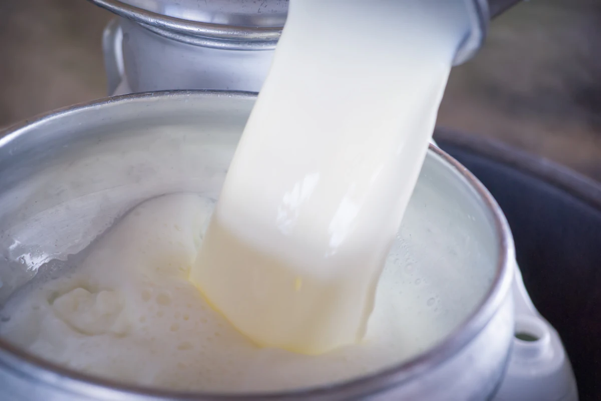 FDA Halts Dairy Testing Amid Staff Cuts, Safety Concerns