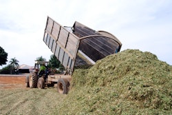 Silage On Ground