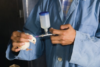 While vaccination against avian influenza may bring benefits, without acceptance and support at global level, vaccination could do significant harm.
