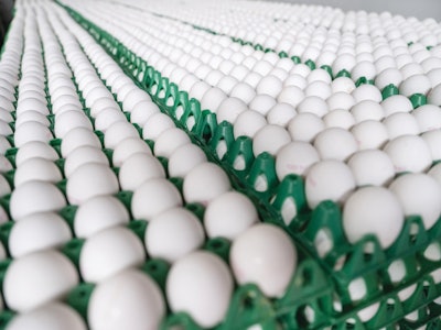 Despite a significant contraction in Brazil’s egg exports during 2023, strong rising demand at the end of the year bodes well for overseas sales in 2025.