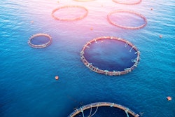 Fish Farm