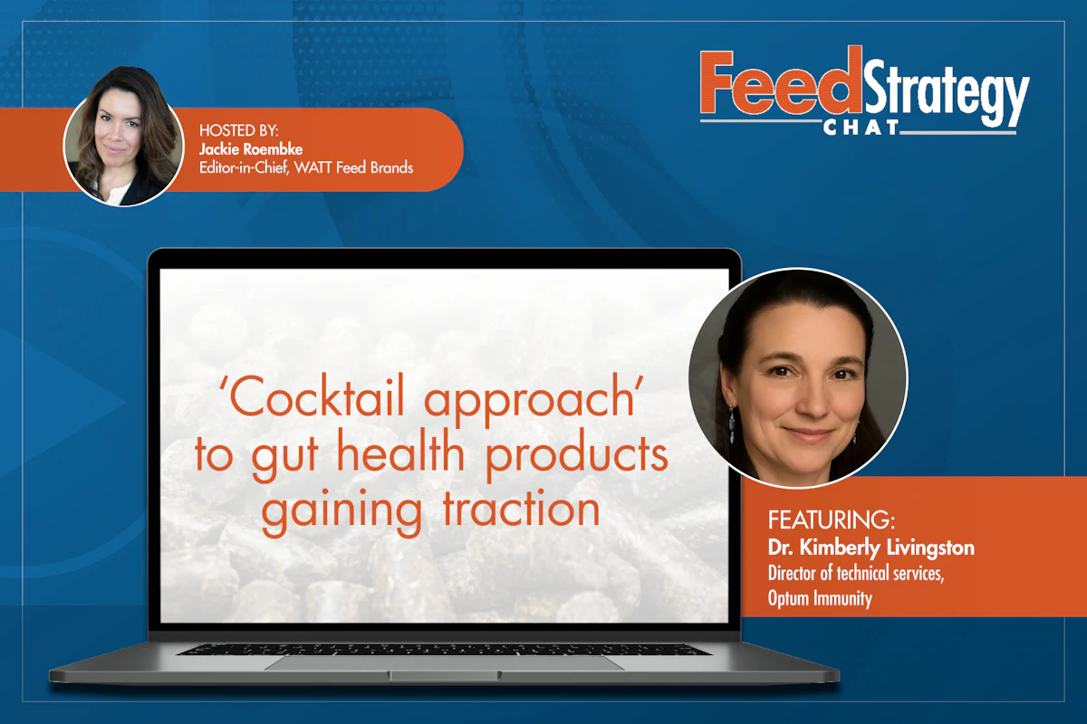 AI & Gut Health: Transforming Animal Nutrition Strategy AI & Gut Health: Transforming Animal Nutrition Strategy