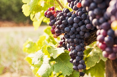 Grapes