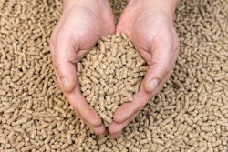 Hands Holding Feed