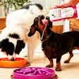 Conveniência, estilo, segurança e sustentabilidade ditam as inovações em embalagens de pet food.