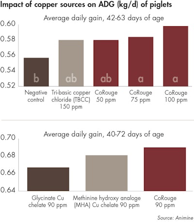 Impact Of Copper Sources Of Average Daily Gain In Piglets