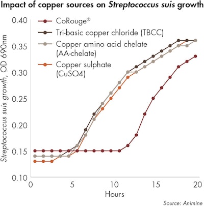 Impact Of Copper Sources On Streptococcus Suis Growth