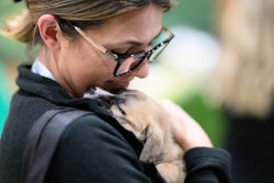 Pelo segundo ano consecutivo, o Petfood Forum contou com filhotes para adoção da instituição de resgate de animais Polk County Humane Society.