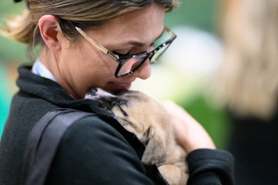 Pelo segundo ano consecutivo, o Petfood Forum contou com filhotes para adoção da instituição de resgate de animais Polk County Humane Society.