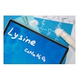 Lysine