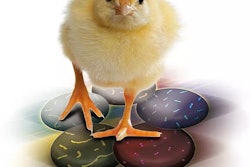 Poultrystar Dsm