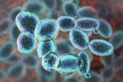 Saccharomyces Cerevisiae