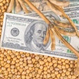 Soybeans Dollars