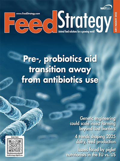 Feed Strategy July/August 2025