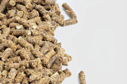 Animal Feed In A Pile