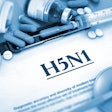 H5 N1 Virus