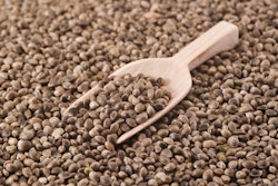 Hemp Seeds Scoop