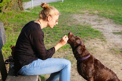 Pet owners are feeling the costs of pet ownership more now than ever, as prices for everything continue to increase.