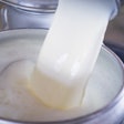 Raw Milk Tank Farm