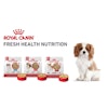 Royal Canin Fresh Health Nutrition