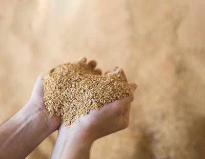 Soybean Meal