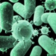 Virus And Bacteria