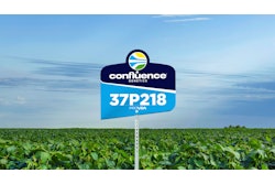 Confluence Genetics ProVIA Ultra-High Protein, Low Oligosaccharide (UHP-LO) soybeans.