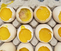 Arm Hammer Enterocuccus Disease Control Program