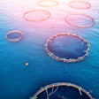 Fish Farm