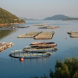 Fishery
