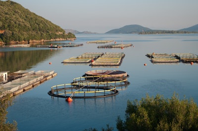 Fishery