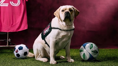 St. Louis CITY SC, Purina and CHAMP officially welcomed Petey to the CITY family by “signing” him to the team via a ceremonial paw print and jersey presentation.