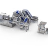 Provisur Bone Cannon Hs250 Max Line Web