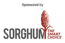 Sorghum: The Smart Choice logo with red graphic element