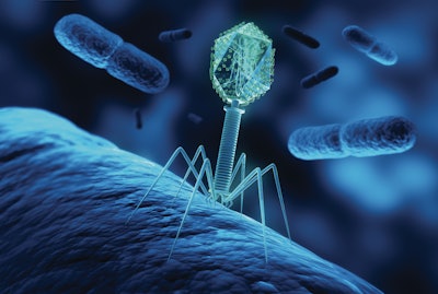 Bacteriaphage 2025