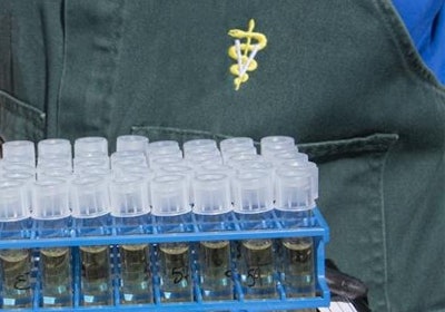 Bigstock Veterinarian Holding Tray Of T 455474705