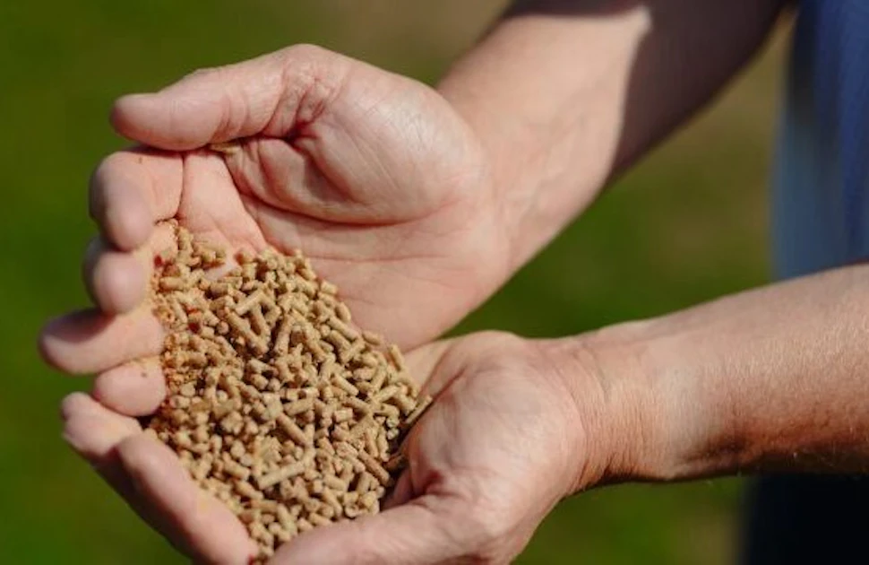 UK’s Cranswick purchases feed mill from AB Agri | Feed Strategy