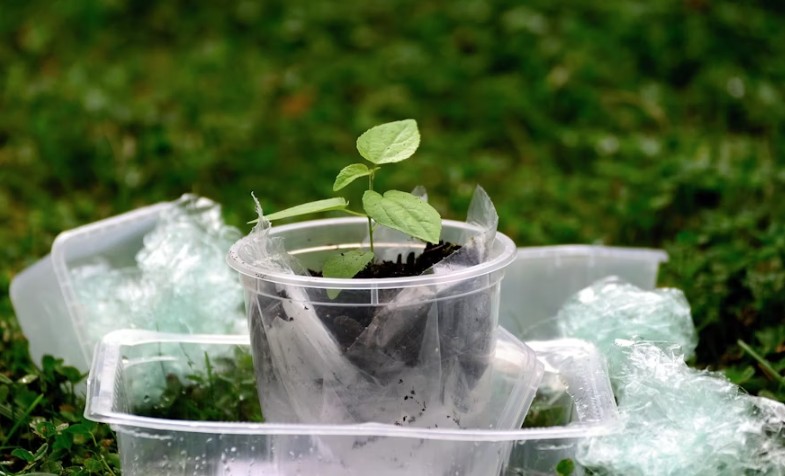 Plastic Waste With Green Plant Pixabay com